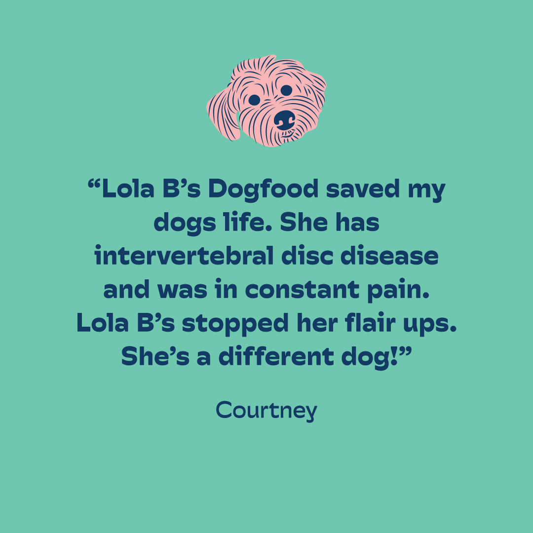 Lola B's testimonial.